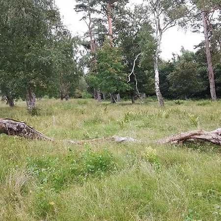 6 Person In Vaeggerlose Holiday home *